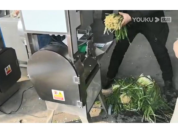臺灣單頭切菜機(jī)葉類菜